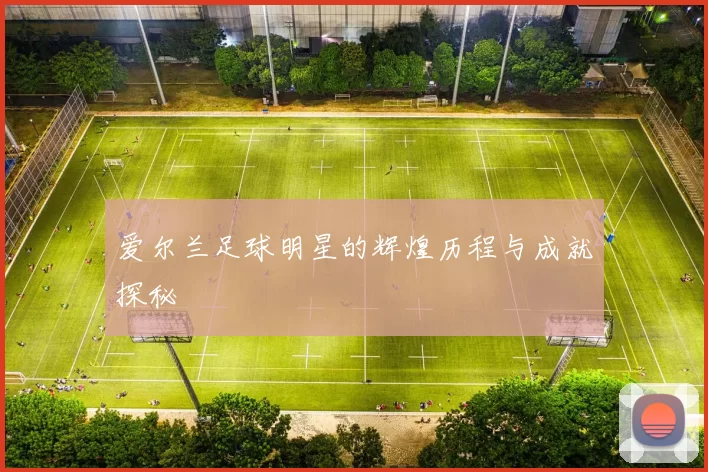 爱尔兰足球明星的辉煌历程与成就探秘