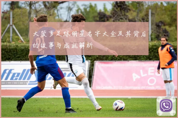 大菠萝足球明星名字大全及其背后的故事与成就解析
