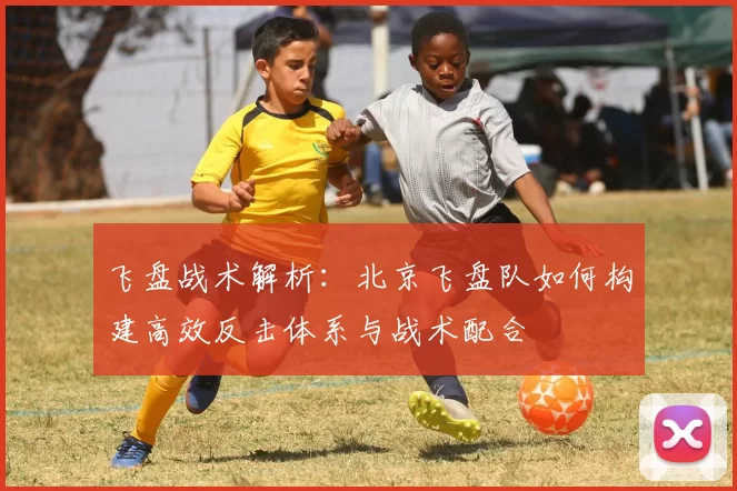 飞盘战术解析：北京飞盘队如何构建高效反击体系与战术配合