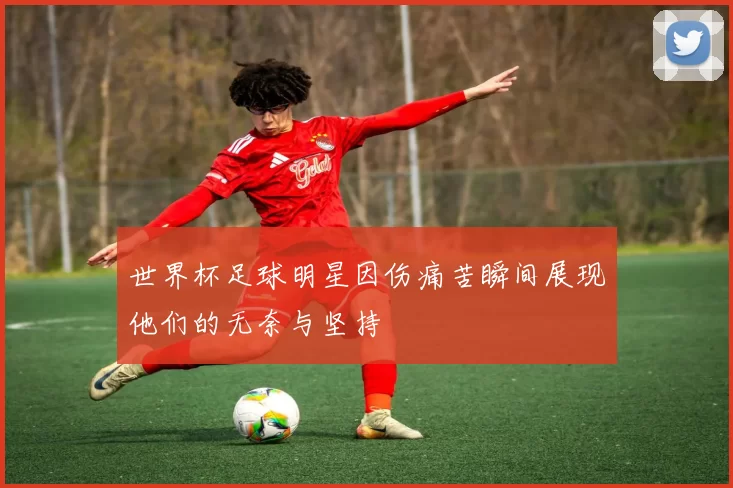 世界杯足球明星因伤痛苦瞬间展现他们的无奈与坚持