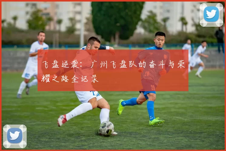 飞盘逆袭：广州飞盘队的奋斗与荣耀之路全记录