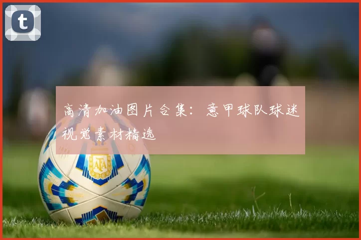 高清加油图片合集：意甲球队球迷视觉素材精选