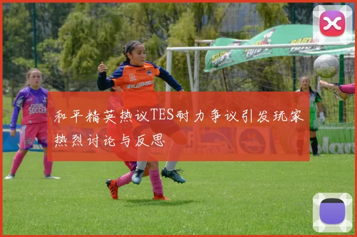 和平精英热议TES耐力争议引发玩家热烈讨论与反思