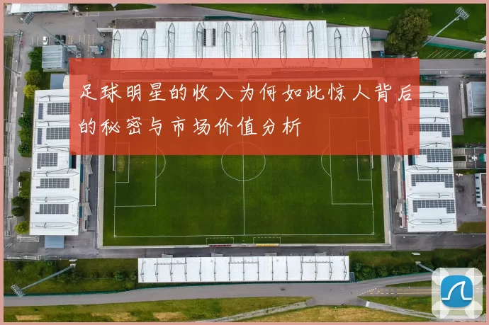 足球明星的收入为何如此惊人背后的秘密与市场价值分析