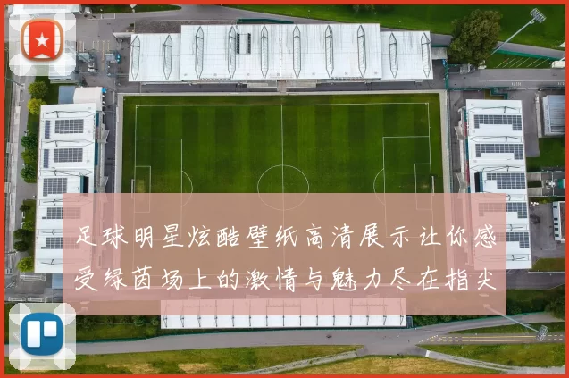 足球明星炫酷壁纸高清展示让你感受绿茵场上的激情与魅力尽在指尖的视觉盛宴
