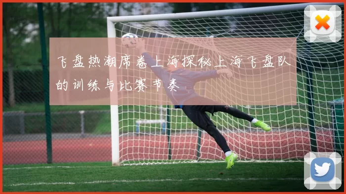 飞盘热潮席卷上海探秘上海飞盘队的训练与比赛节奏