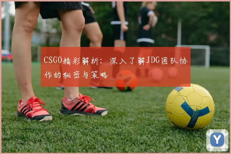 CSGO精彩解析：深入了解JDG团队协作的秘密与策略
