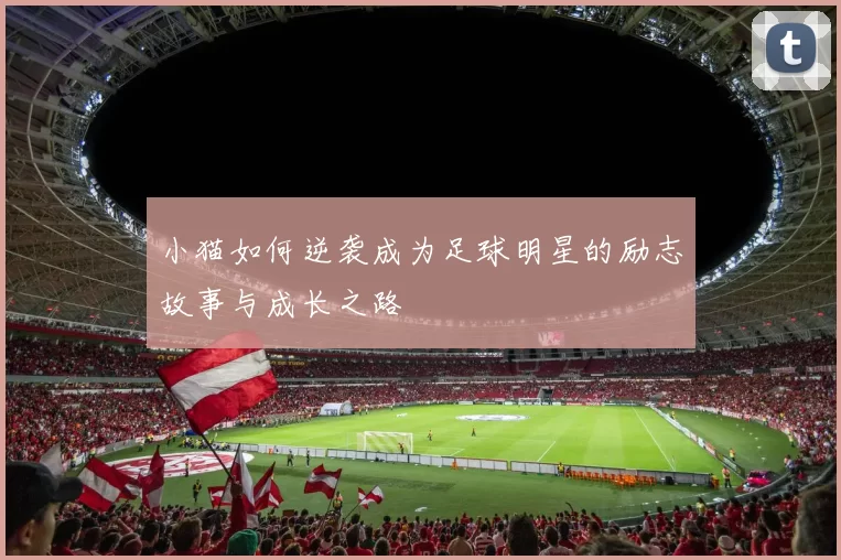 小猫如何逆袭成为足球明星的励志故事与成长之路
