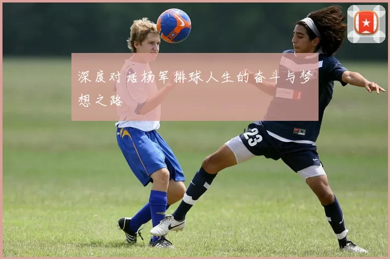 深度对话杨军排球人生的奋斗与梦想之路