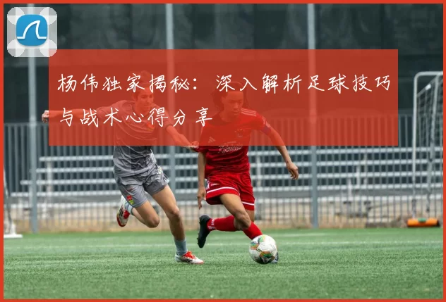 杨伟独家揭秘：深入解析足球技巧与战术心得分享