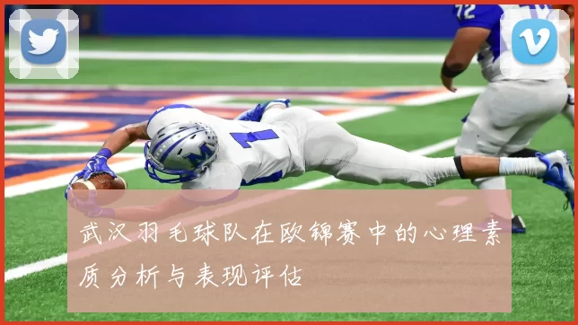 武汉羽毛球队在欧锦赛中的心理素质分析与表现评估