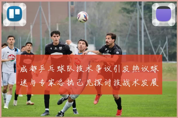 成都乒乓球队技术争议引发热议球迷与专家各执己见探讨技战术发展