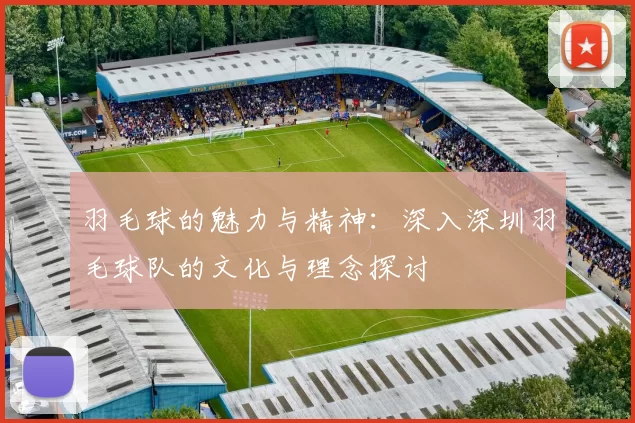 羽毛球的魅力与精神：深入深圳羽毛球队的文化与理念探讨