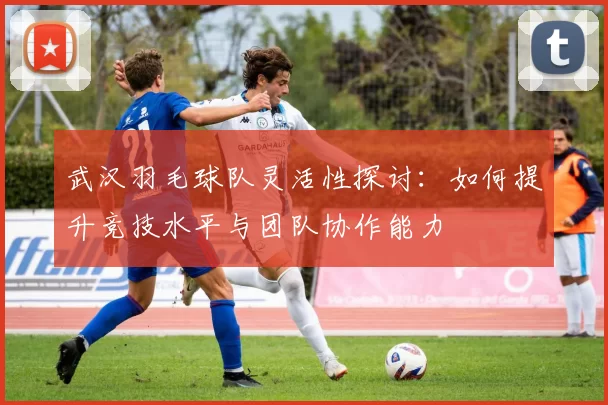 武汉羽毛球队灵活性探讨：如何提升竞技水平与团队协作能力
