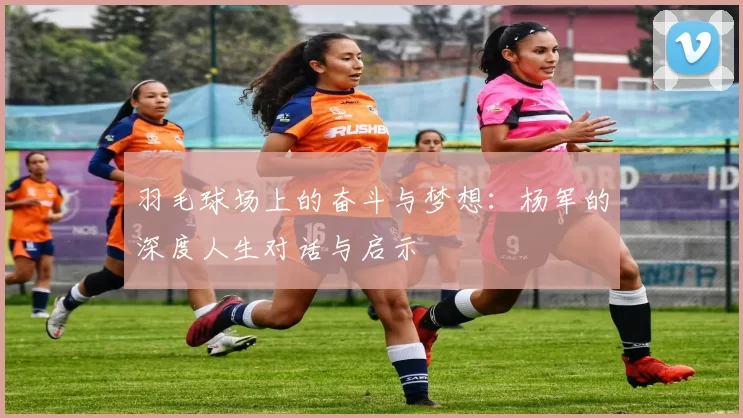 羽毛球场上的奋斗与梦想：杨军的深度人生对话与启示