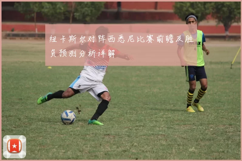 纽卡斯尔对阵西悉尼比赛前瞻及胜负预测分析详解