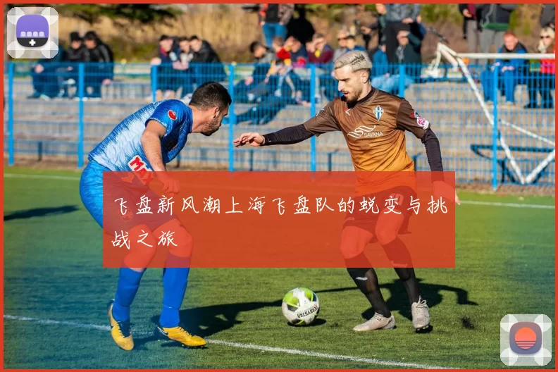 飞盘新风潮上海飞盘队的蜕变与挑战之旅