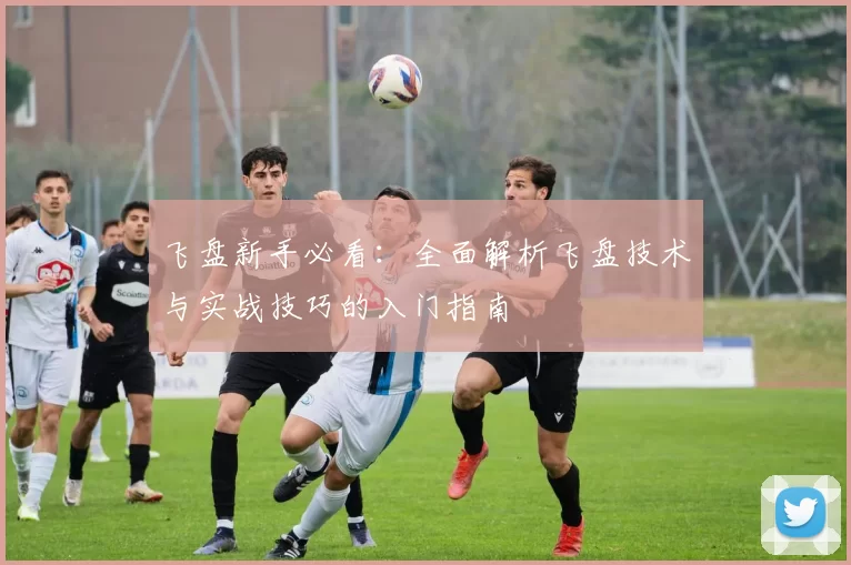 飞盘新手必看：全面解析飞盘技术与实战技巧的入门指南