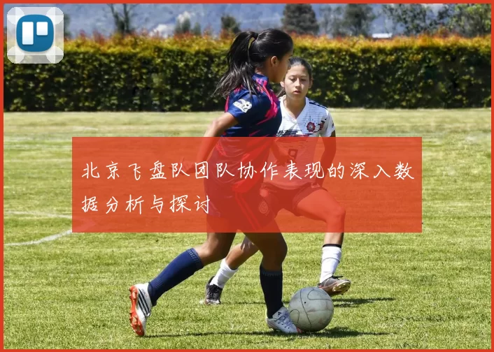 北京飞盘队团队协作表现的深入数据分析与探讨